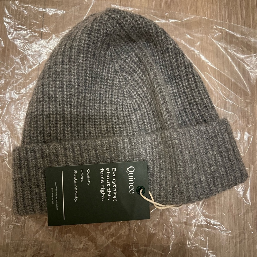 NWT Quince Cashmere Gray Beanie